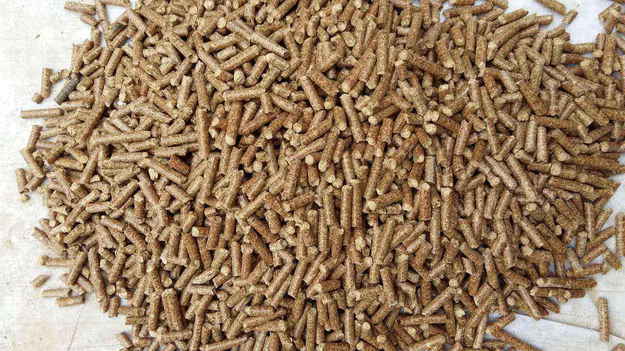 生物質(zhì)導(dǎo)熱油爐的原理跟應(yīng)用你知道多少？